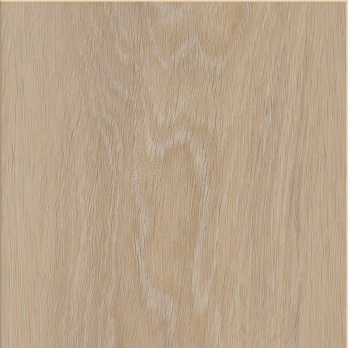 Silk Oak — Latte