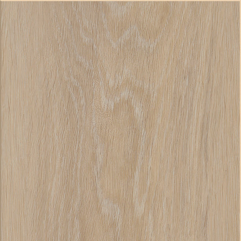 Invictus Maximus — Silk Oak