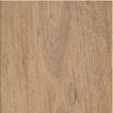 Silk Oak — Oat