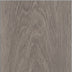 Silk Oak — Shade