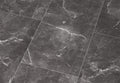 Botticino Dark High Gloss
