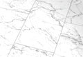 Carrara Marble High Gloss