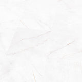 Falquon Stone — Marmorata Chiara High Gloss