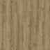 Sirona — Fincastle Oak