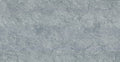 Grey Bonito