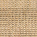 Ochre