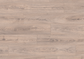 Mushroom Carpenter Oak
