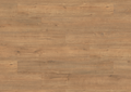 Gold Apollo Oak