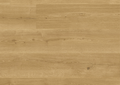 Vibrant Oak