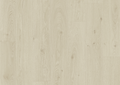 Glacier Oak