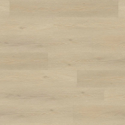 Chambord Oak 12mm Straight Laminate
