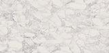 Kaindl Gloss — White Marble