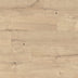 FLOORganic — Oak Zermatt Castor