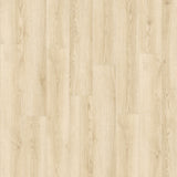 Aurora — Olive Oak