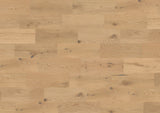 Castro — Imperial Oak 180