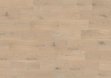Castro — Taj Mahal Oak 180