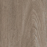 New England Oak — Dusk