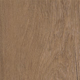 Royal Oak — Mocca