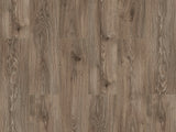 River — Delaware Oak