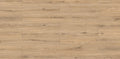 Sand Oak