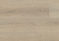 Seashell Oak