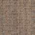 Sisal Borneo — Bontang