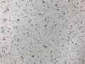 Snowflake Sparkle