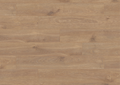Solar Oak