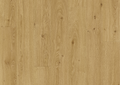 Solstice Oak