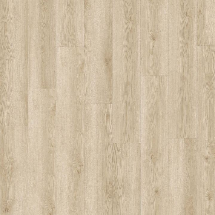Aurora LVT