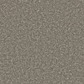 Cinder Grey