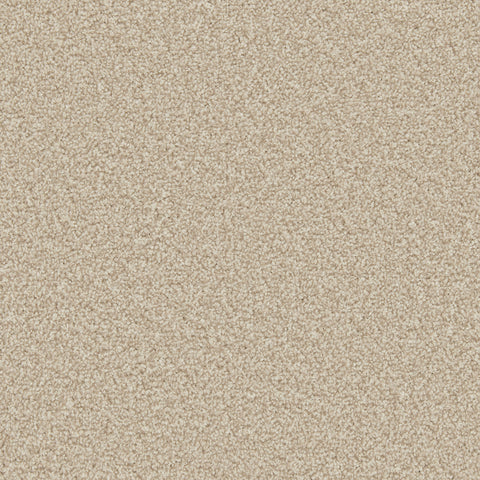 Cormar Carpets — Apollo Plus