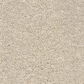 Cornsilk