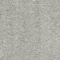 Cool Grey