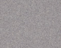 Dove Grey