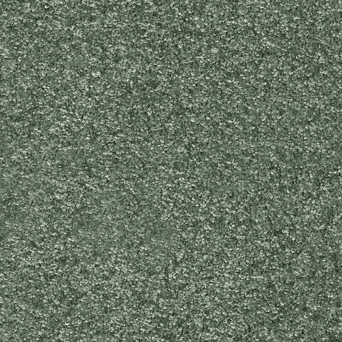 Dorado — Sage Green