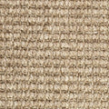Field Mouse