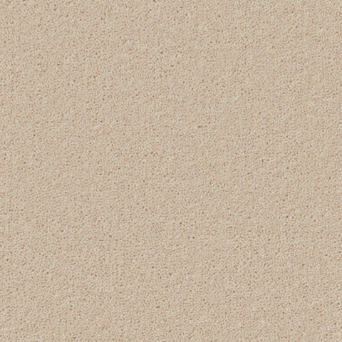Cormar Carpets — Hampstead