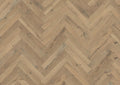 Florence Oak