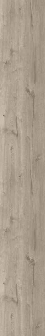 Fusion — Travertine
