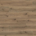 Mocha Oak