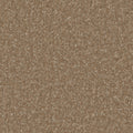 Cedar