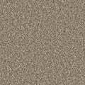 Kernel