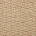 Sahara