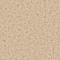 Seed