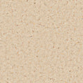 Parchment