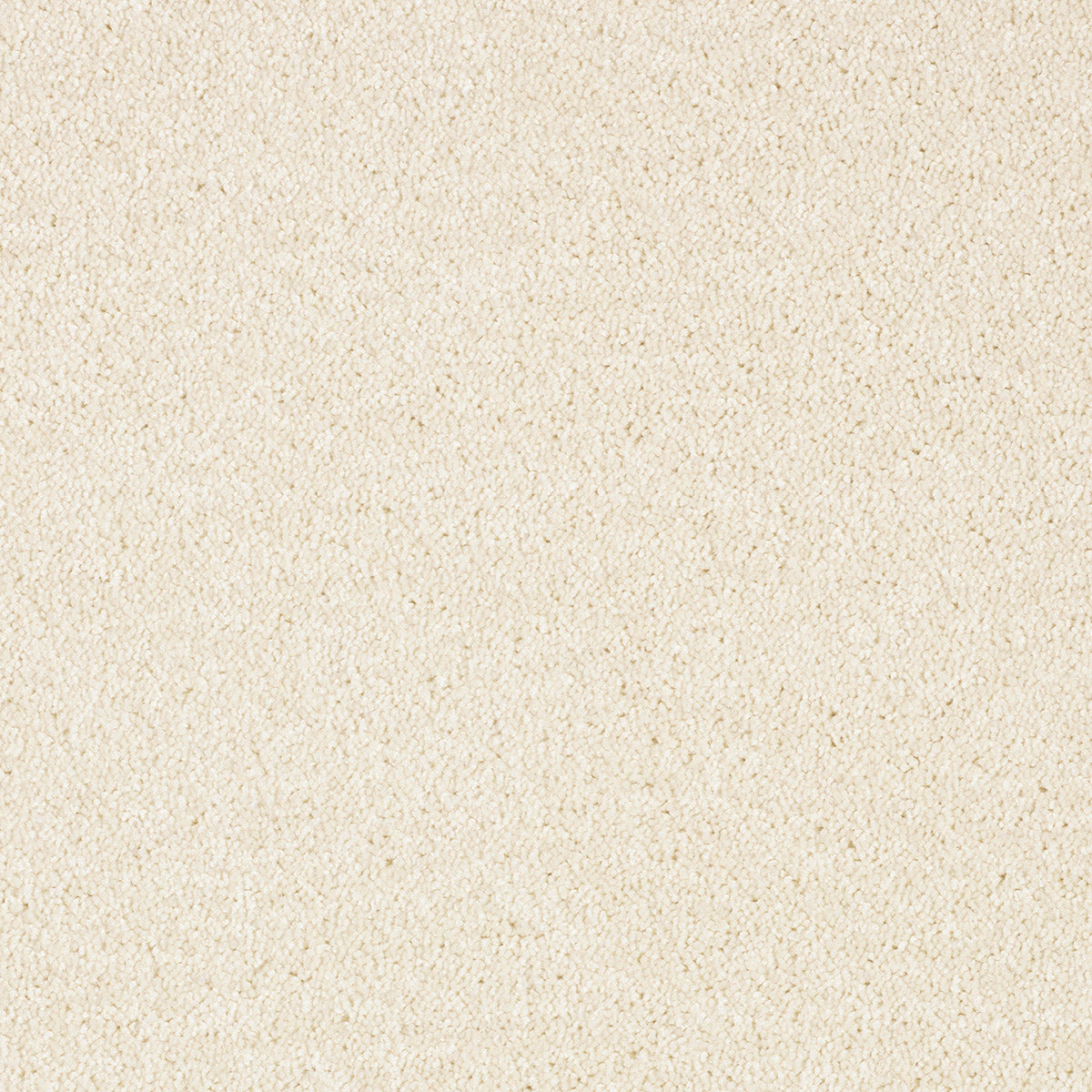 Orinoco — Ermine