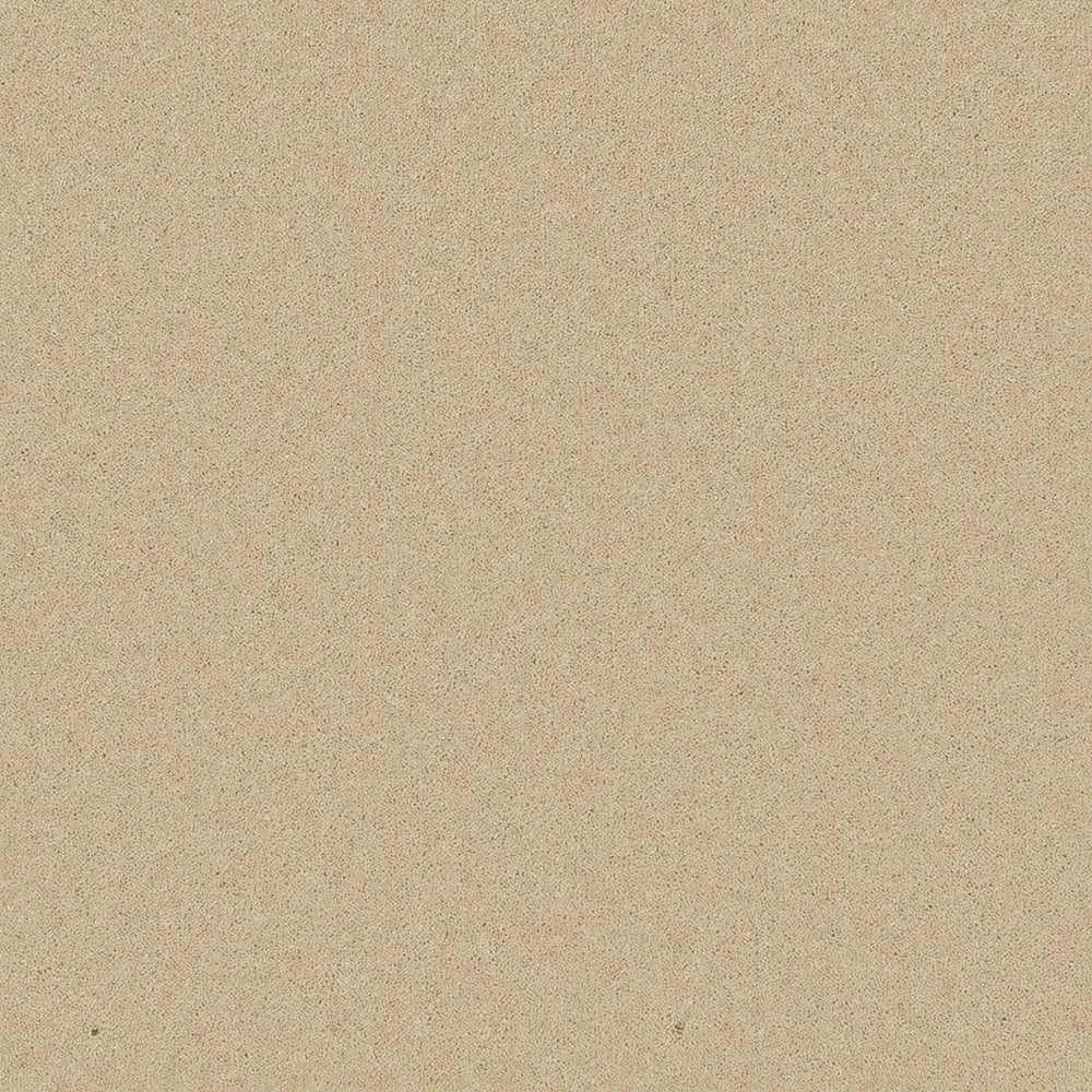 Pembroke — Caraway
