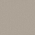 Bankside Beige