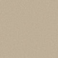 Cloudy Bay